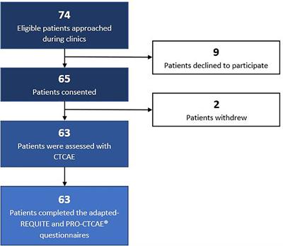 A study demonstrating users’ preference for the adapted-REQUITE patient-reported outcome questionnaire over PRO-CTCAE® in patients with lung cancer